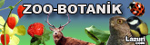 Zoo Botanik